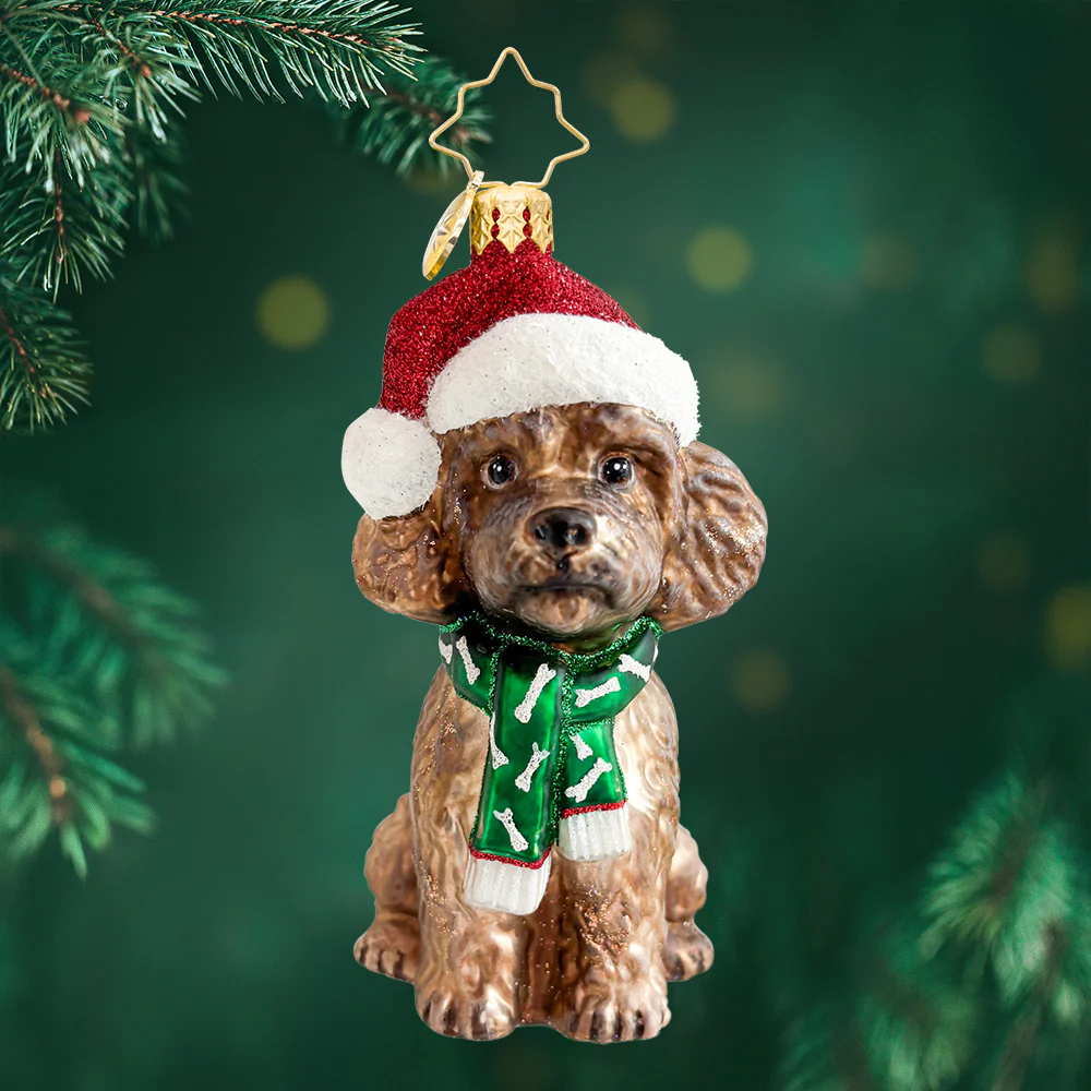 Christopher Radko - The Posh Poodle