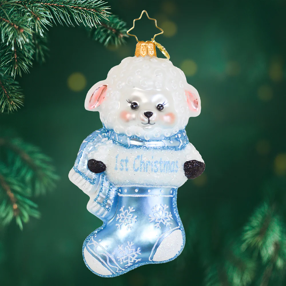 Christophr Radko - A Snowy Blue First Christmas