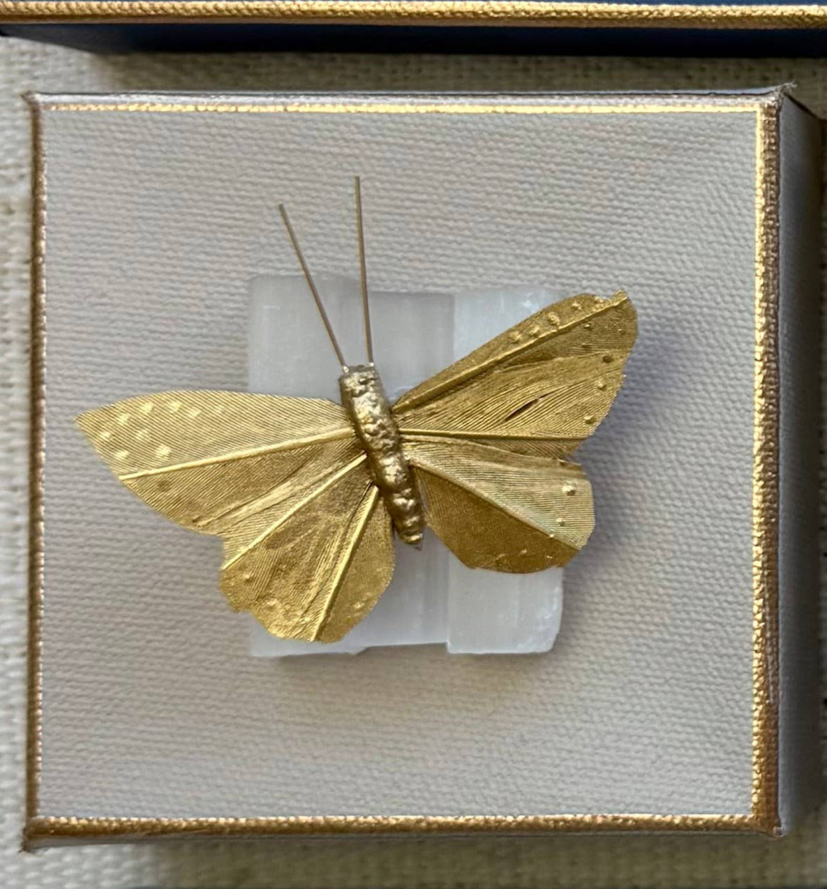 Butterfly Crystal Art: Beige / 4x4