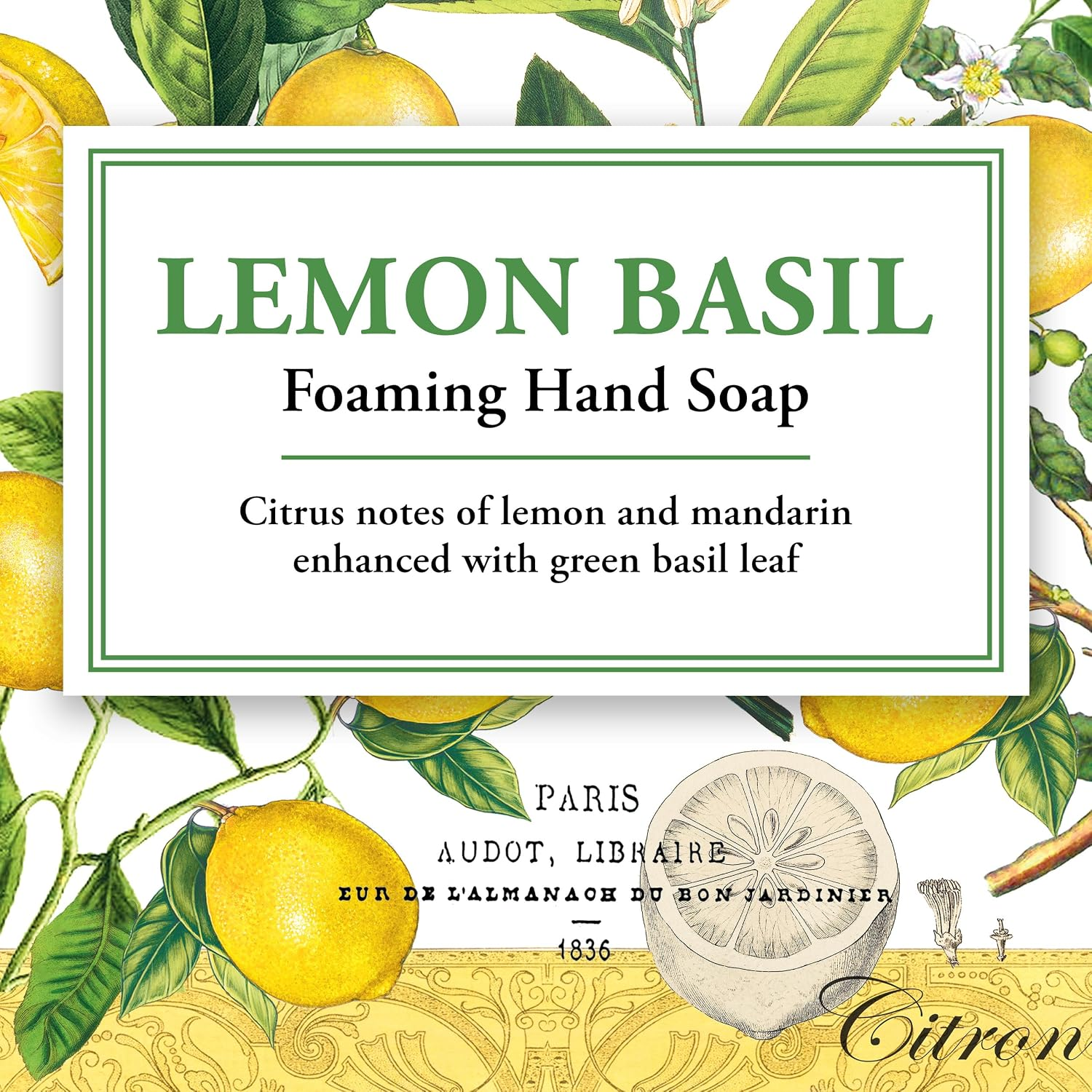 Lemon Basil Foaming Soap