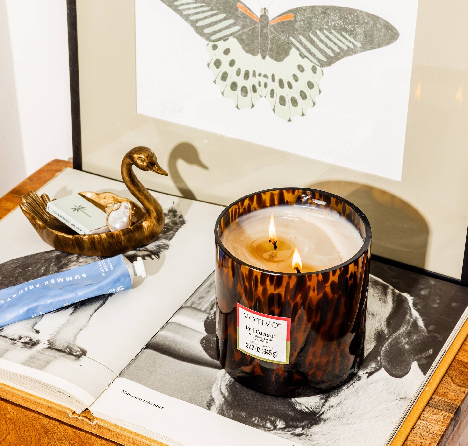 Red Currant Tortoise Candle | Americana Summer