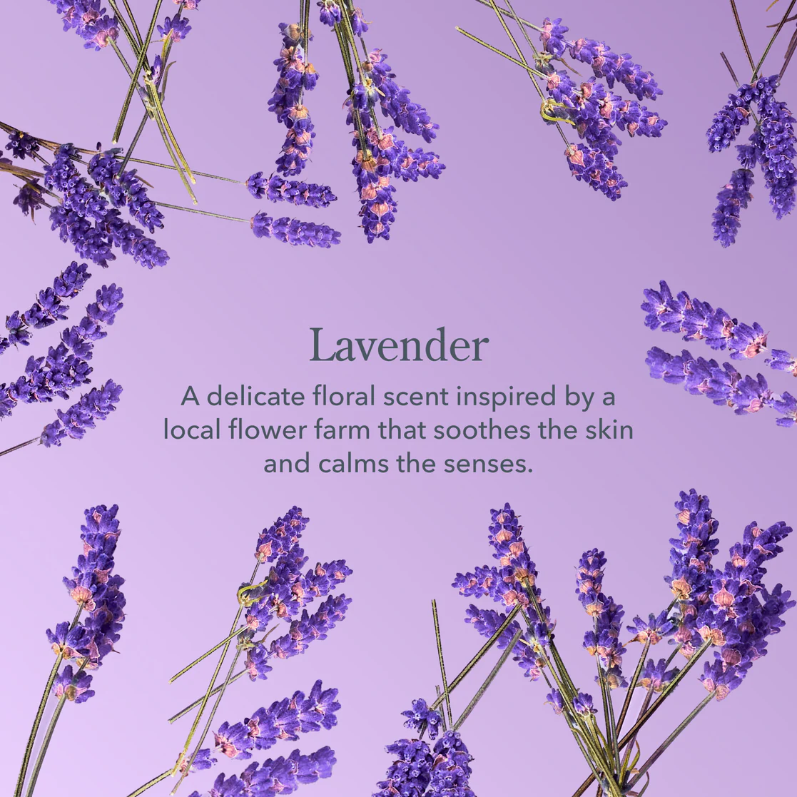 Lavender Hand & Body Wash