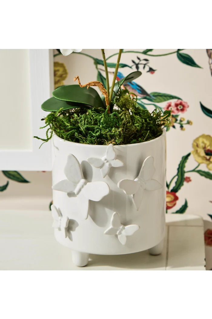 BUTTERFLY FOOTED CACHEPOT