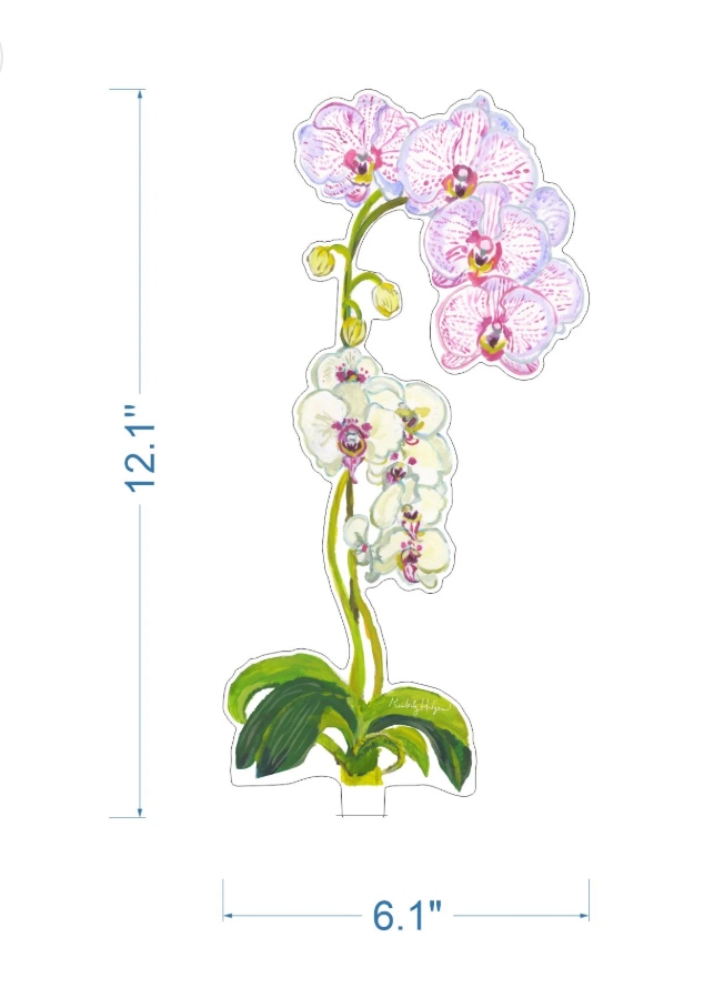 Pink Stripe Acrylic Orchid, Large