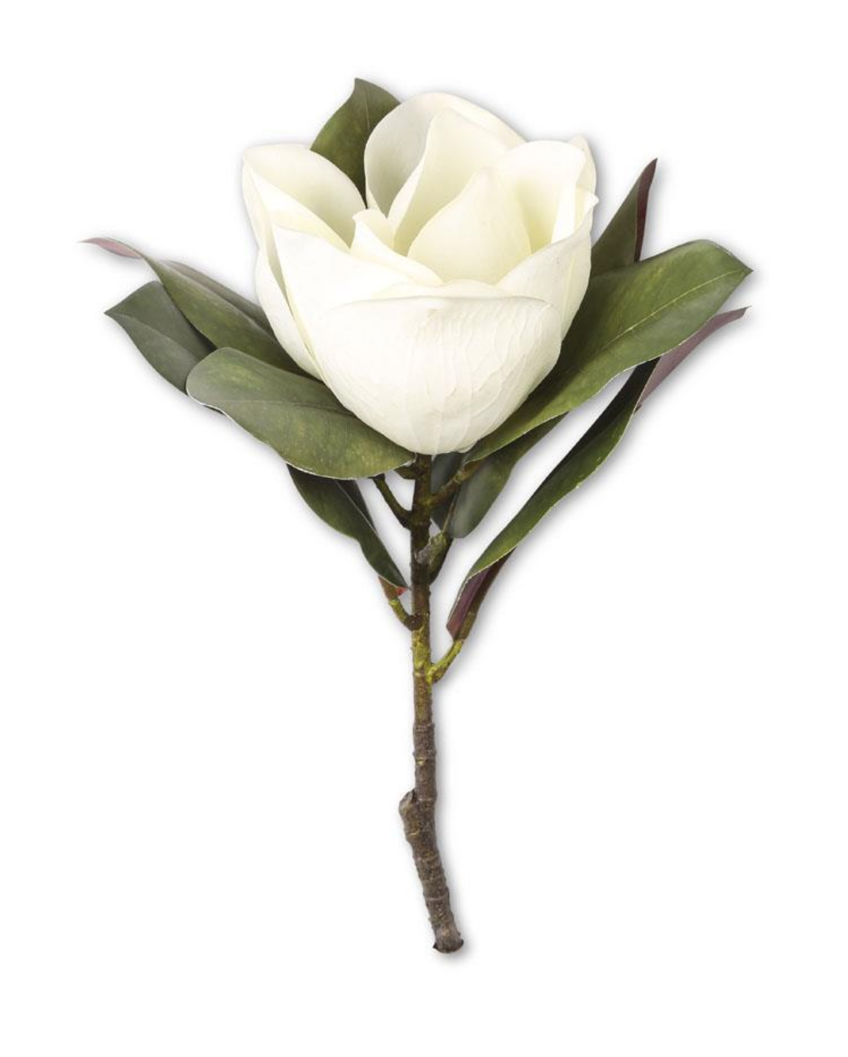 White Magnolia Stem -17"