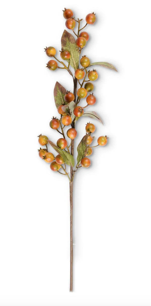Orange with Green Rosehip Stem - 32"