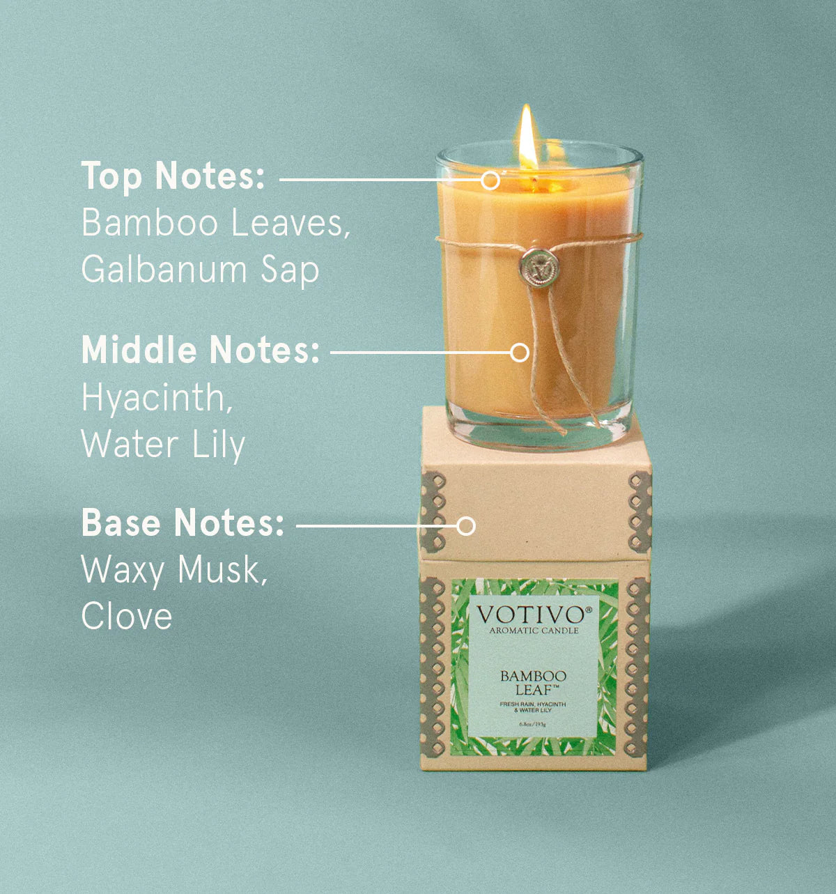 Bamboo Leaf 6.8 oz. Aromatic Candle